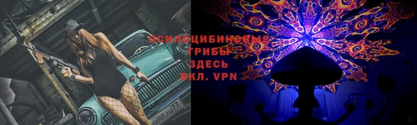 стафф Семилуки