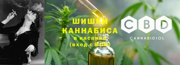 трава Снежногорск