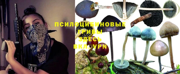 трава Снежногорск