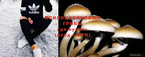 mix Снежинск